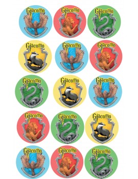 HARRY POTTER CASATE GRIFONDORO COMPLEANNO CIALDA PER PER...